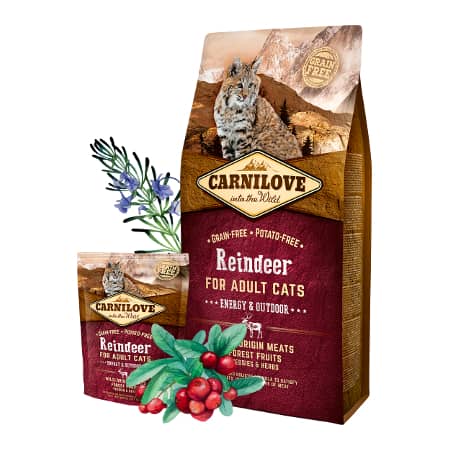 CARNILOVE CAT ENERGY & OUTDOOR REINDEER bezgraudu sausā barība kaķiem 6kg